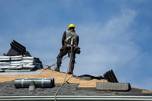 Professional Roof Replacement technician working in Warm Springs, GA